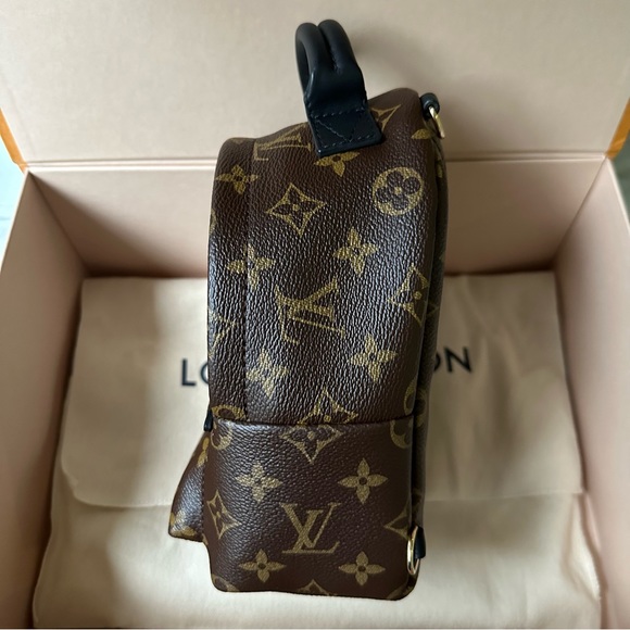 Louis Vuitton Palm Springs Mini - Picture 6 of 9